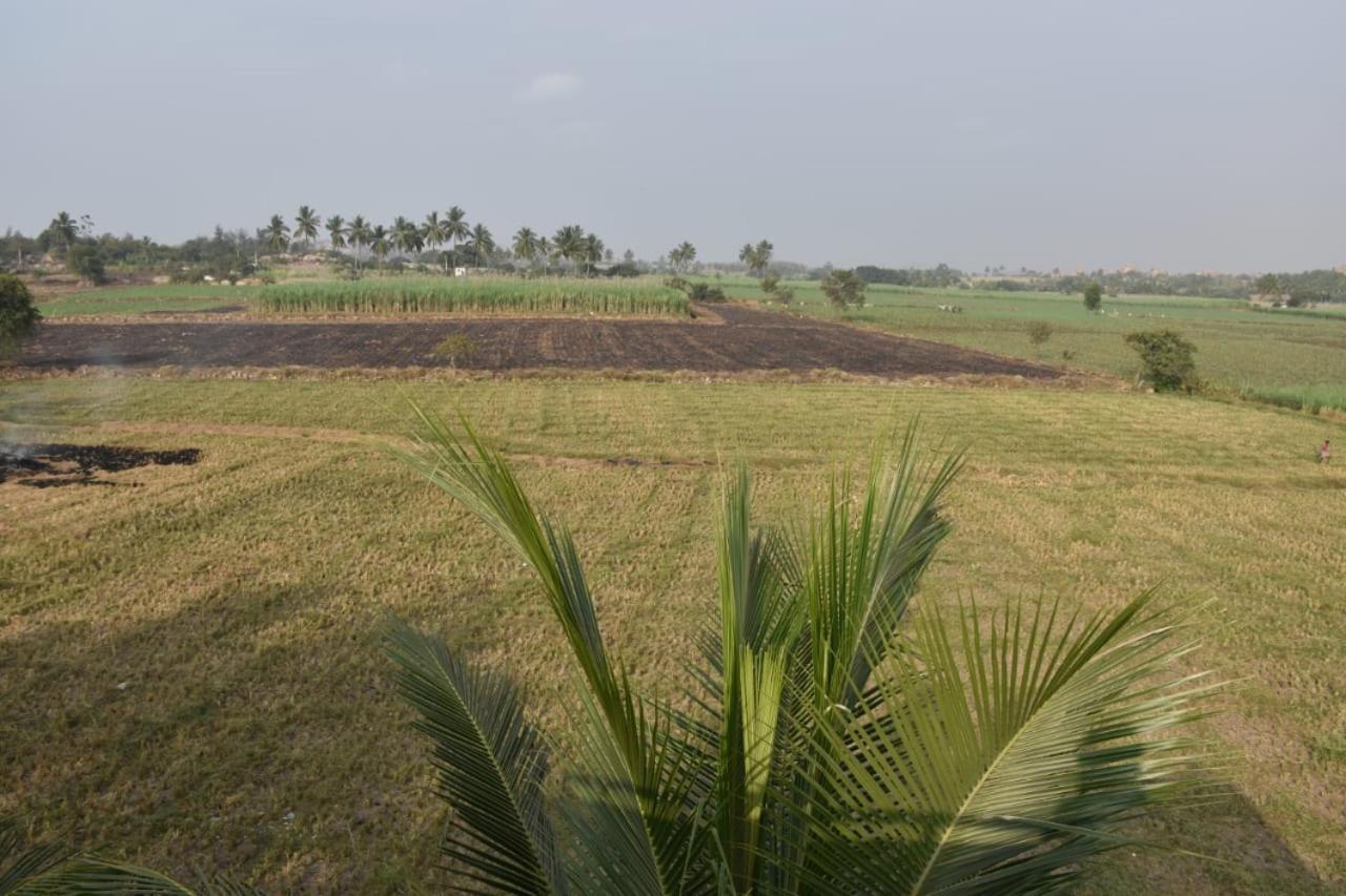 Coconut Homestay Hampi Exterior foto